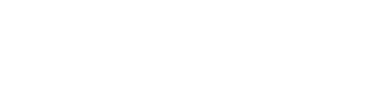 Logo VigSeg